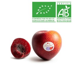 Prune Mirabelle Bio