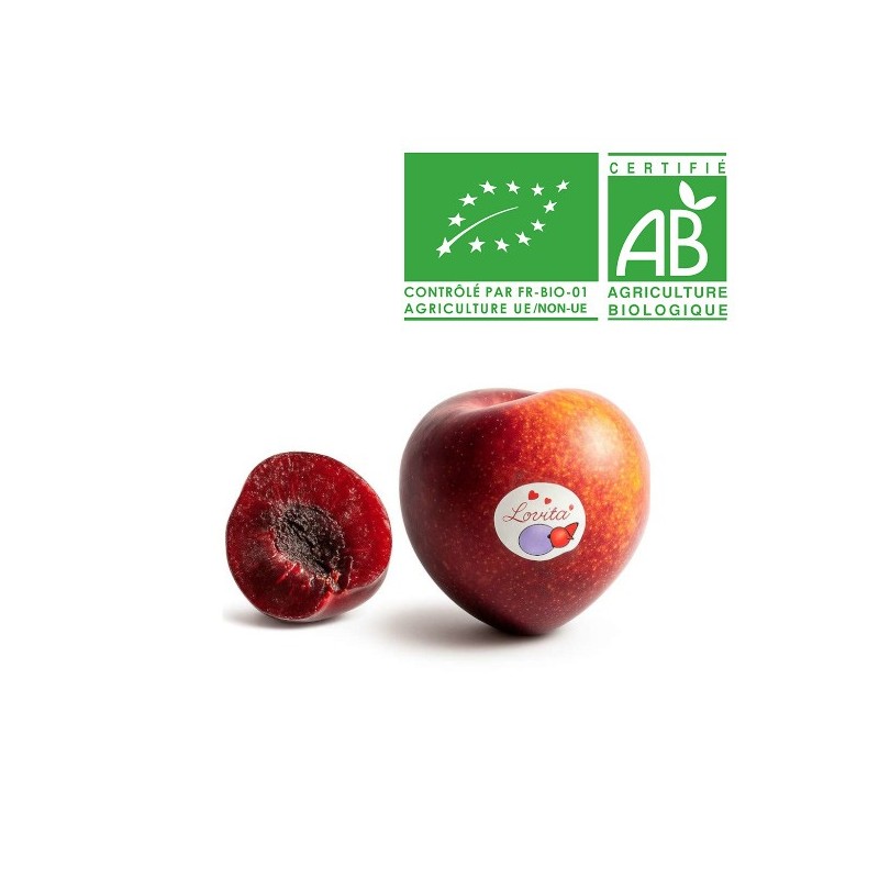 Prune Mirabelle Bio