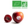 Prune Mirabelle Bio