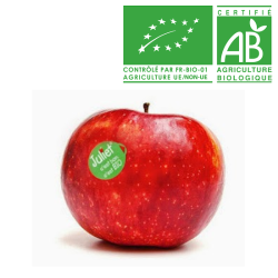 Pomme Coop43 bio
