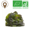 Salades Rougette bio