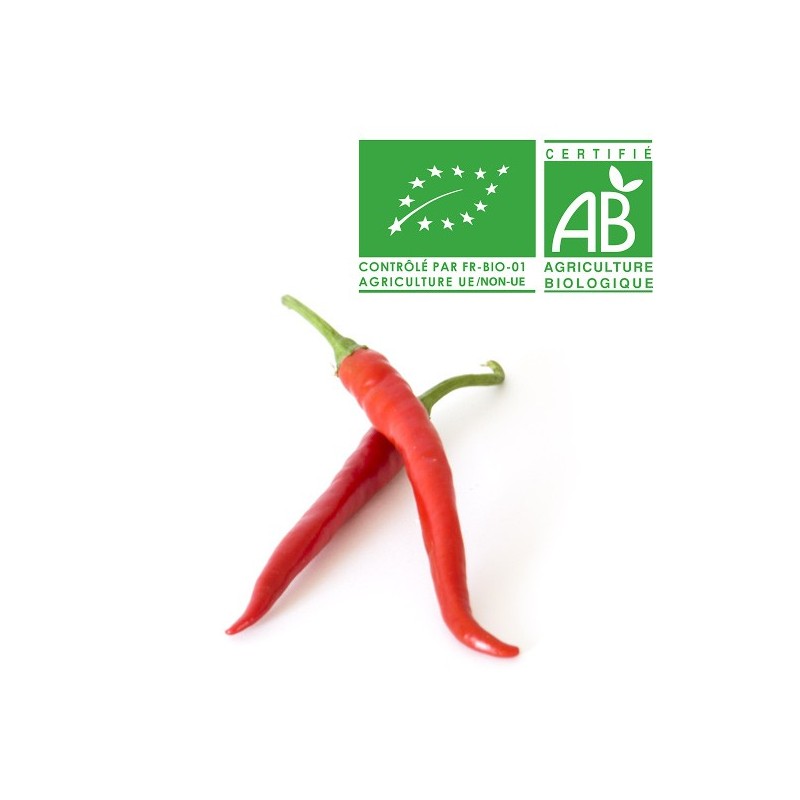 Piment rouge bio