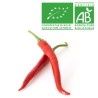 Piment rouge bio