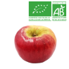 Pomme Swing bio