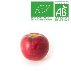 Pommes Crimson crisp bio