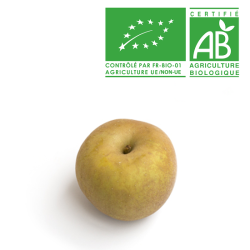Pomme Canada Bio