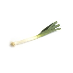 Poireau nouveau BIo