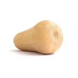 Butternut Bio