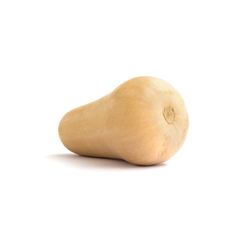 Butternut Bio Butternut Bio