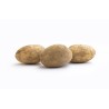 Pommes de terre Binjte bio