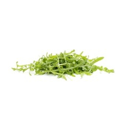 Salades Roquette bio