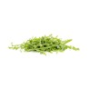 Salades Roquette bio