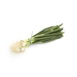 Oignons blancs bio