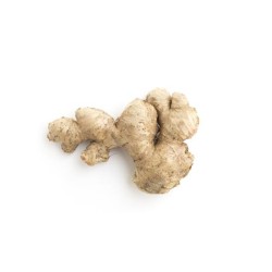 Gingembre bio