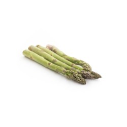 Asperges verte bio