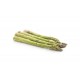 Asperge verte longue bio