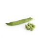 Haricot petits pois bio