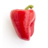 Poivron rouge bio