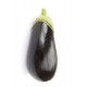 Aubergines