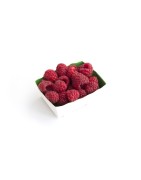 Fruits rouges