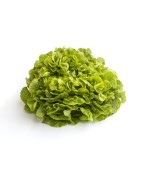 Salades