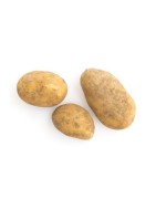 Pommes de terre