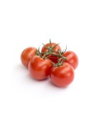 Tomates