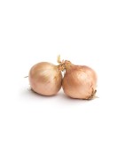 Légumes à bulbes