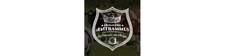 Fromage de vaches Bio